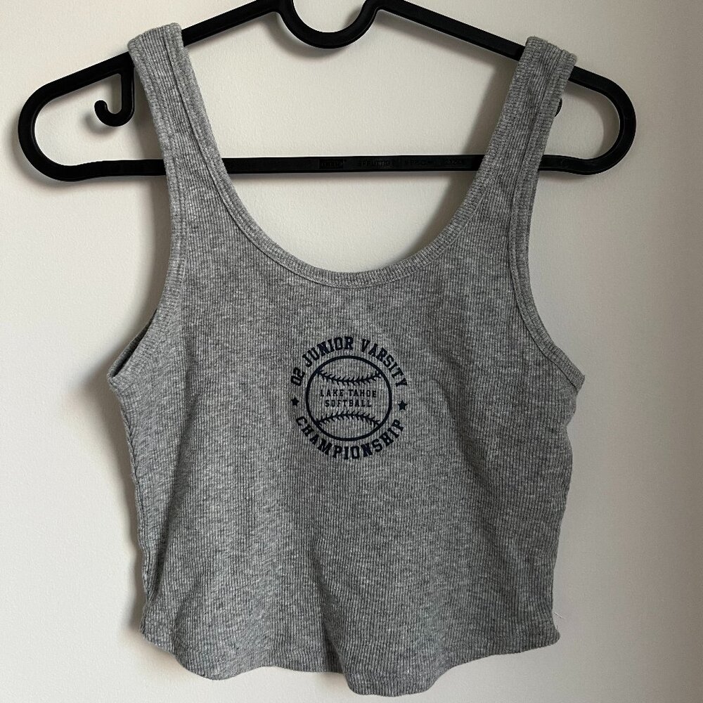 Hollister Co. Women's Grey and Blue Crop-top